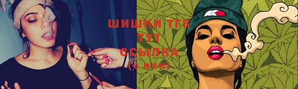 СК Алексин