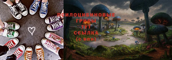 ПСИЛОЦИБИНОВЫЕ ГРИБЫ Алзамай