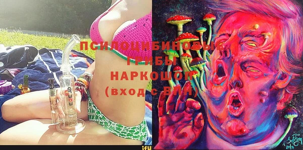 ПСИЛОЦИБИНОВЫЕ ГРИБЫ Алзамай